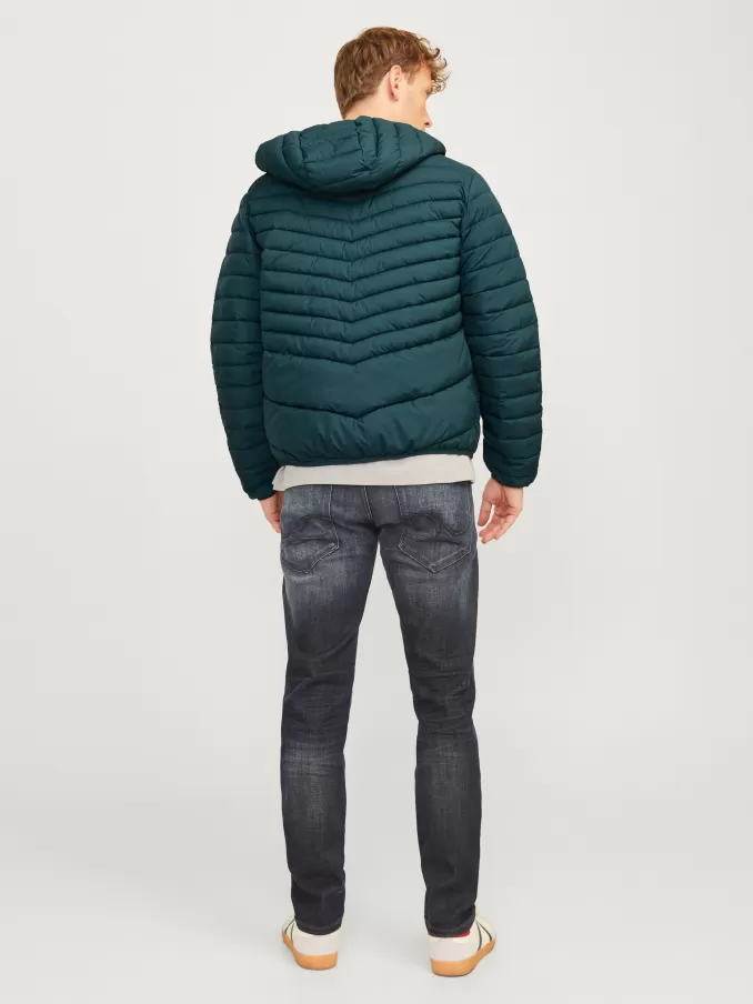 Puffer jacket-Jack & Jones Online