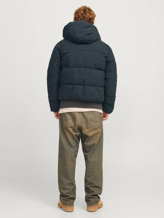 Puffer jacket-Jack & Jones Clearance